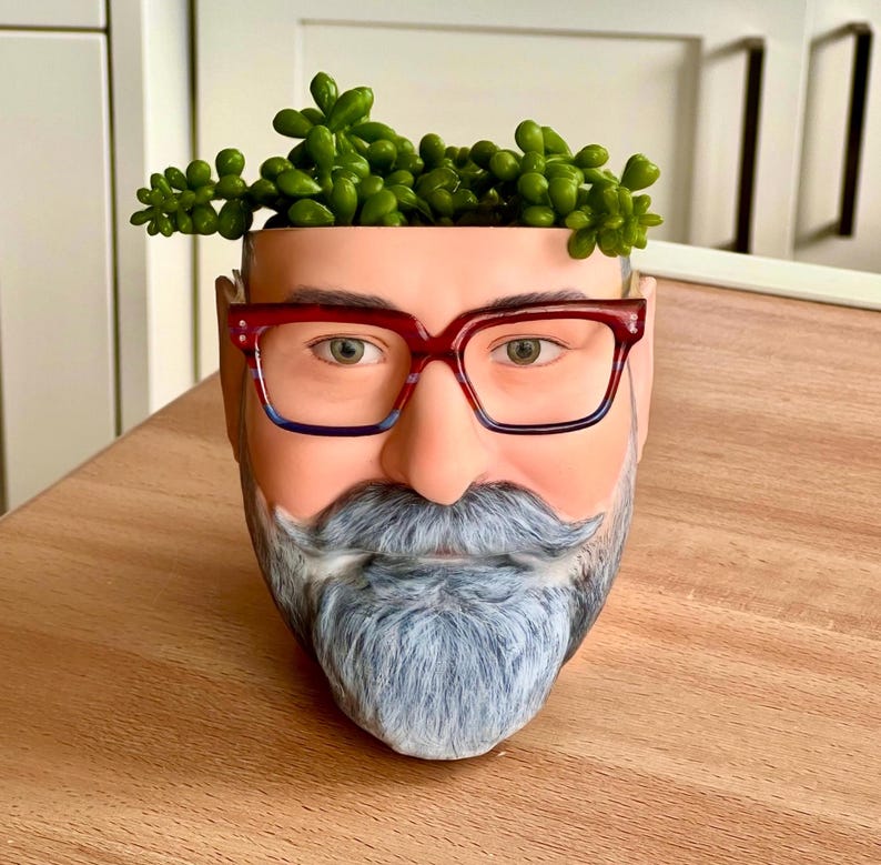 May include: A white ceramic planter shaped like a face with a gray beard, red-rimmed glasses, and a mustache. The planter is filled with green succulents.