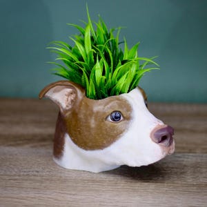 May include: A brown and white dog planter with green grass growing out of the top of its head.