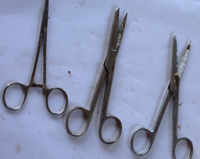 Vintage 3 pairs of small scissors 2 are Rex USA