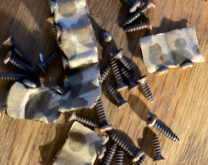 Bag of 30 copper screws different sizes