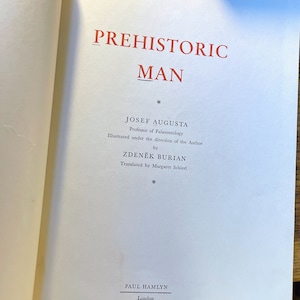 Prehistoric Man