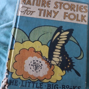 Vintage Nature Stories for Tiny Folk 1934  Little Big books McLoughlin Brothers