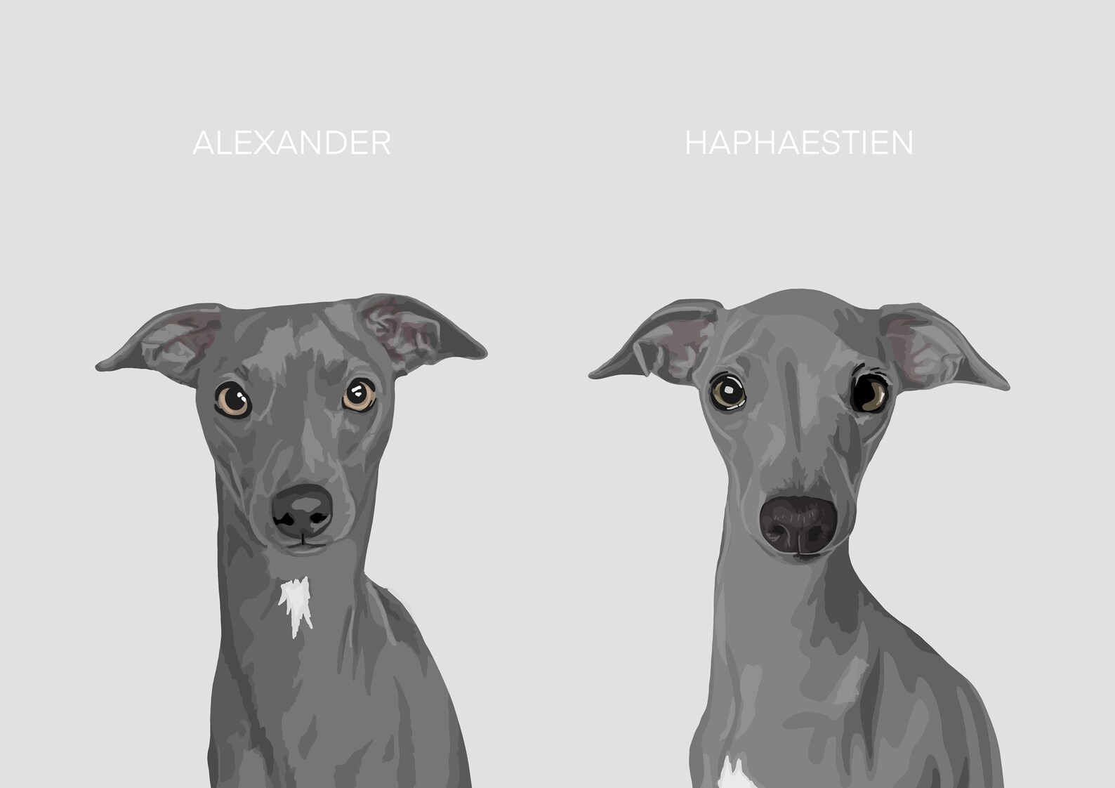 Custom PET Portrait Commission Bespoke Portraits of Cats Etsy UK