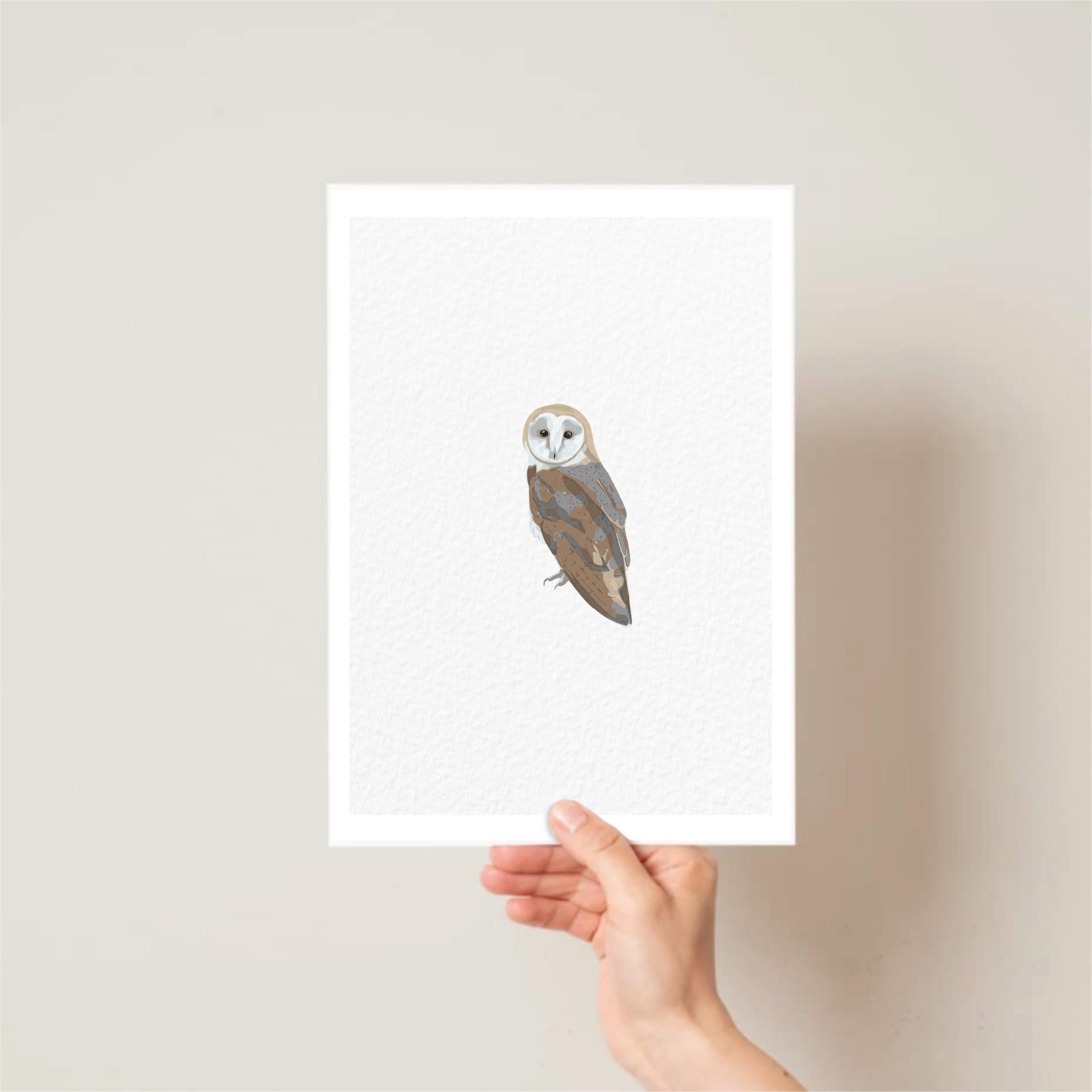 Barn Owl Print - Illustration