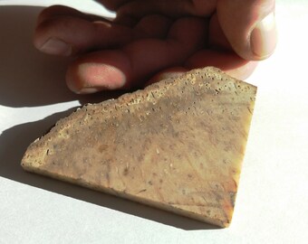 41.5x22x5 mm Palmoxylon Natural Palm Root Agate Fossil Cabochon Gemstone Freeform Triangle shape Brown Grey Color 32.15 Cts. Pendant size