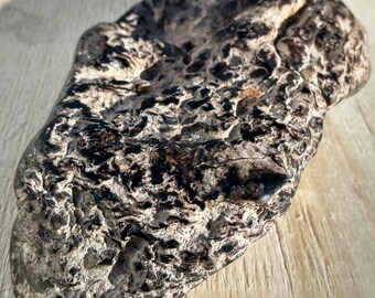 41.5x22x5 mm Palmoxylon Natural Palm Root Agate Fossil Cabochon Gemstone Freeform Triangle shape Brown Grey Color 32.15 Cts. Pendant size
