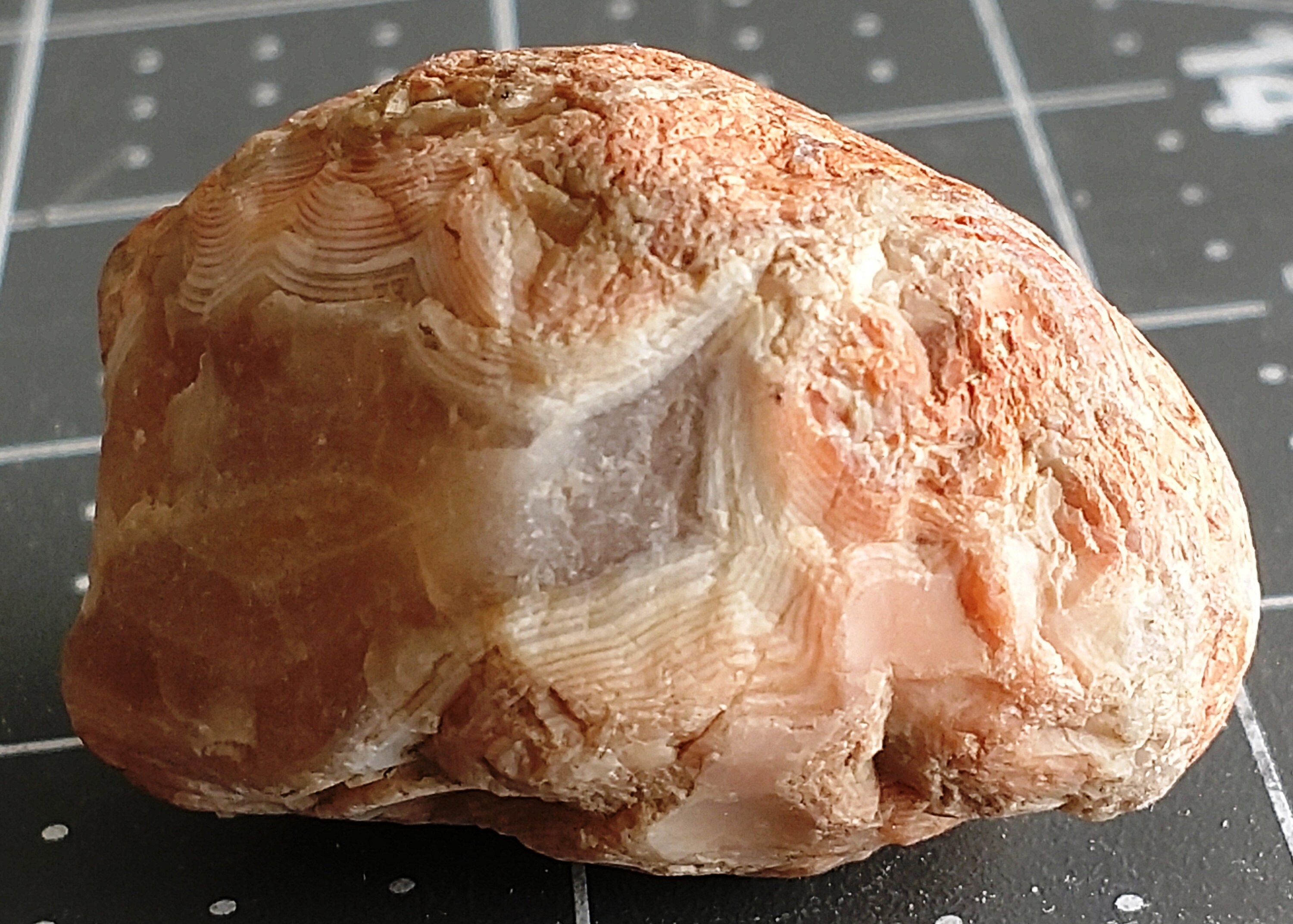 peeler agate peeler agate