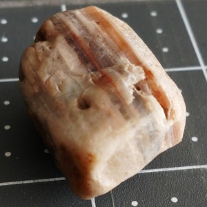 Può includere: Una pietra liscia e oblunga con una base beige e motivi a strisce marrone-rossastro e bianche. La pietra ha un aspetto naturale e usurato con piccoli fori e una consistenza leggermente ruvida, che suggerisce una pietra di fiume.