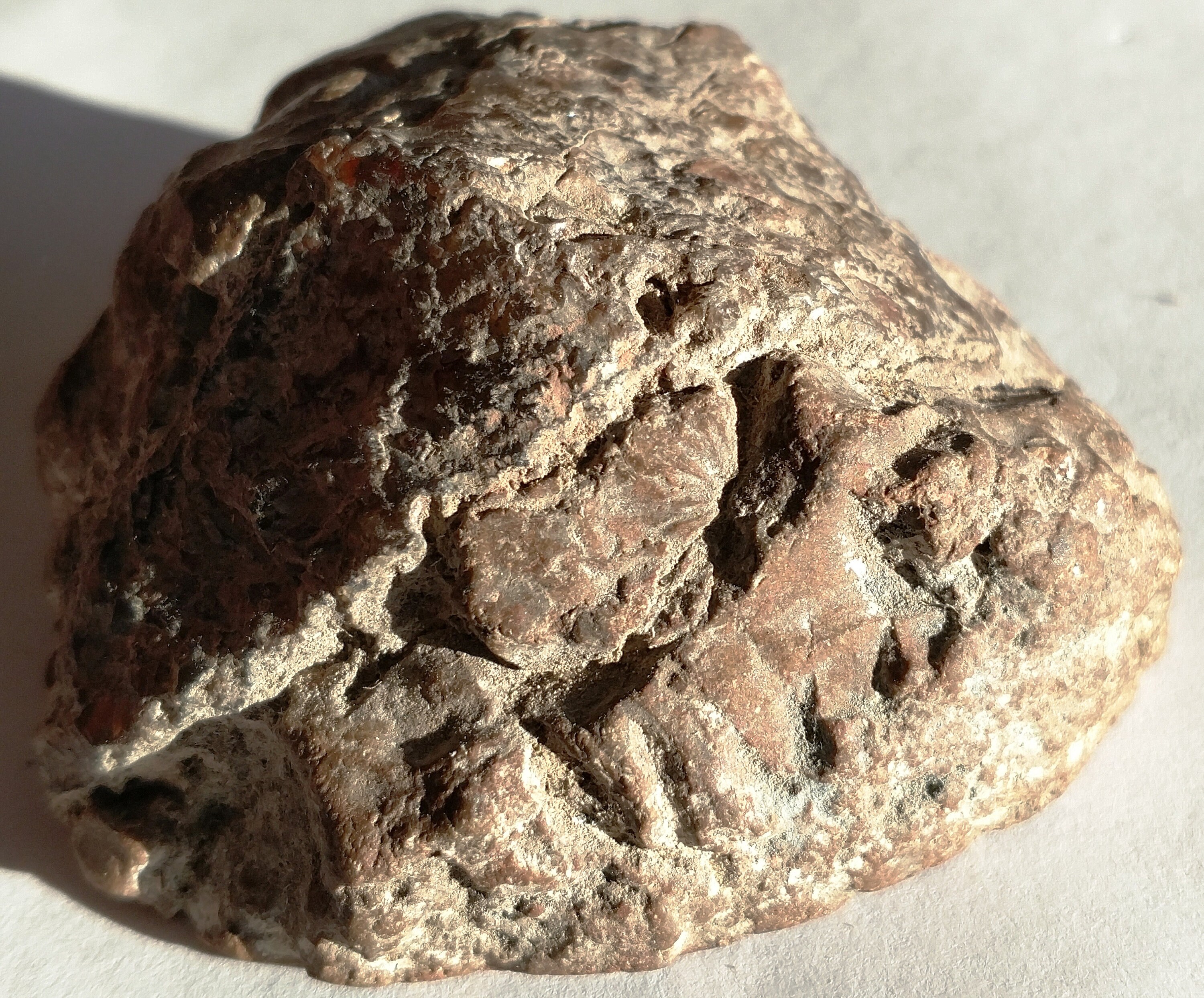 Face Polished Moss Agate Specimen 125 grams Slab Cut on 1 side | Etsy