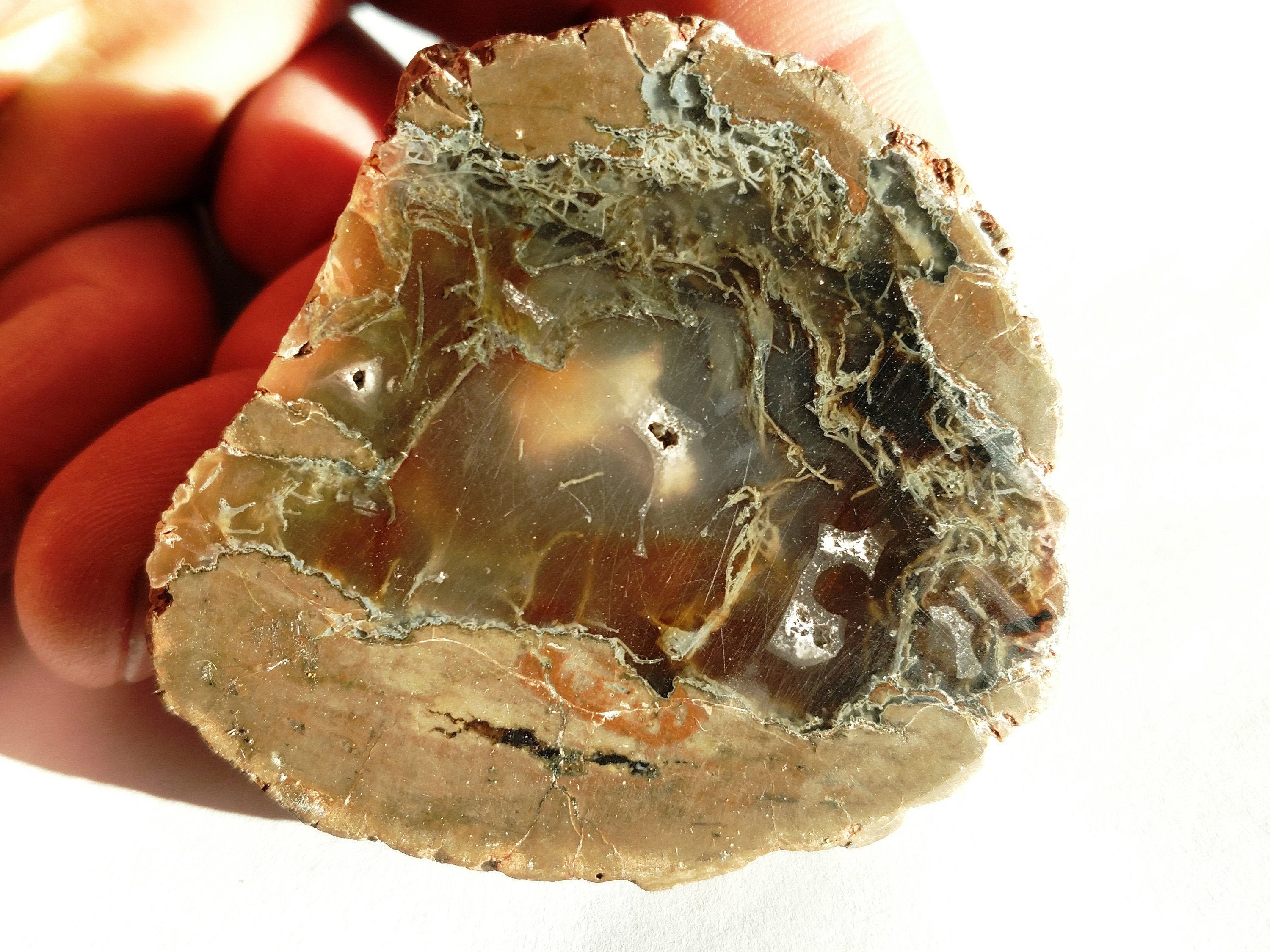 Face Polished Moss Agate Specimen 125 grams Slab Cut on 1 side | Etsy