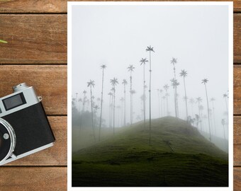 Vale de Cocora, impressão de belas artes de Colômbia de <br> Crie Seu Próprio Produto! Paisagem de palmeiras | Café Colômbia | Paisagem temperamental | Palmeira | Colômbia arte fotográfica | Arte de parede