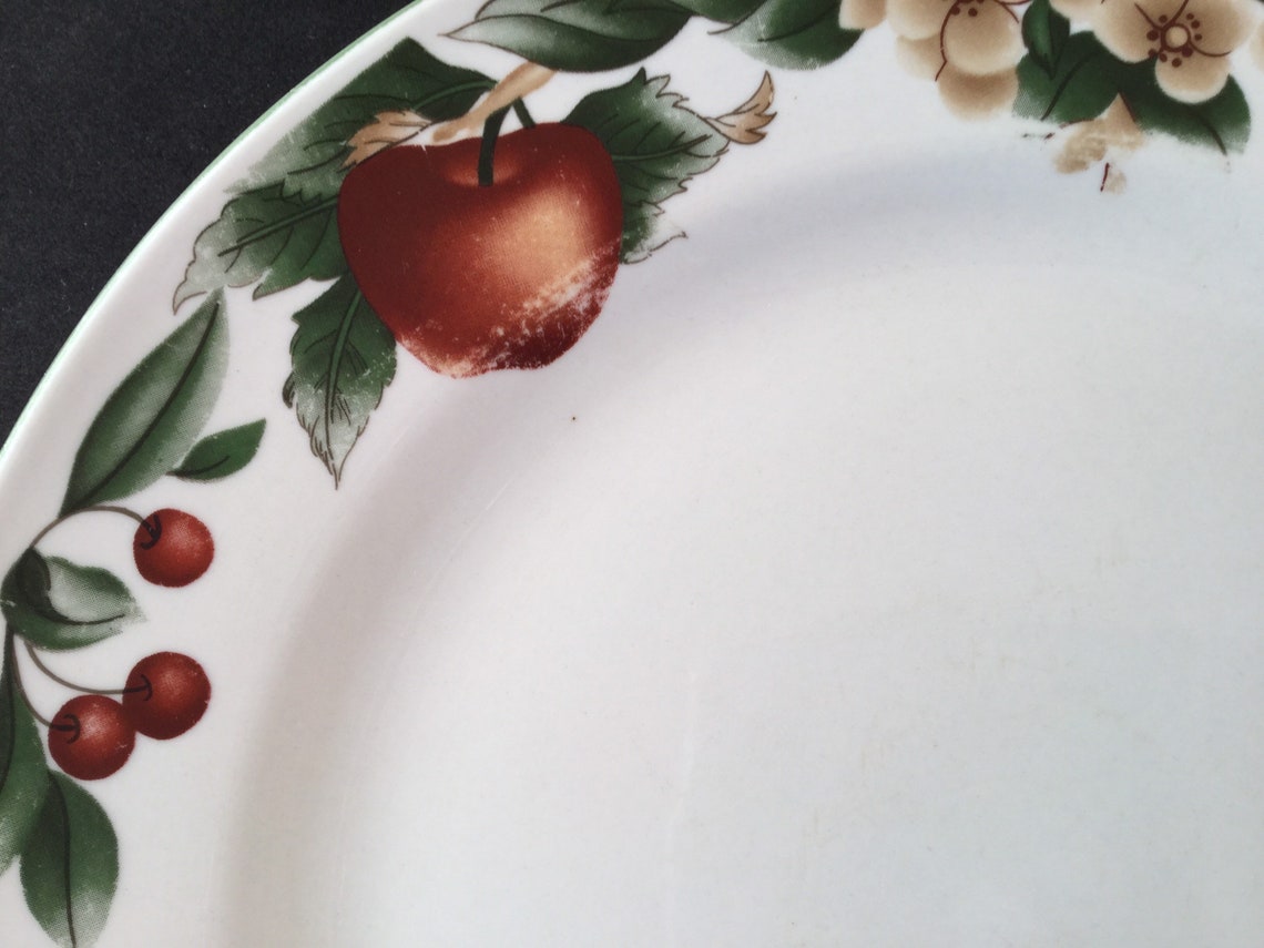 The Cades Cove Dinnerware Collection by Citation 8 Dinner Etsy