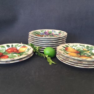 May include: A set of 10 white ceramic dinner plates with a fruit design. The plates feature a variety of fruits, including apples, pears, and grapes, painted in a realistic style. The plates have a brown rim and a green leafy border.