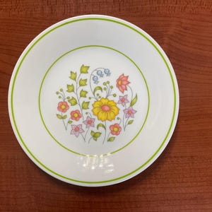 Corelle von Corning Meadow 8 Brot- und Butterteller, hergestellt in den USA