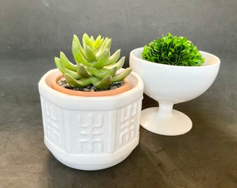May include: Two white ceramic planters, one with a round base and the other with a square base, both with a textured surface. The round planter holds a small green bush, while the square planter holds a succulent plant.