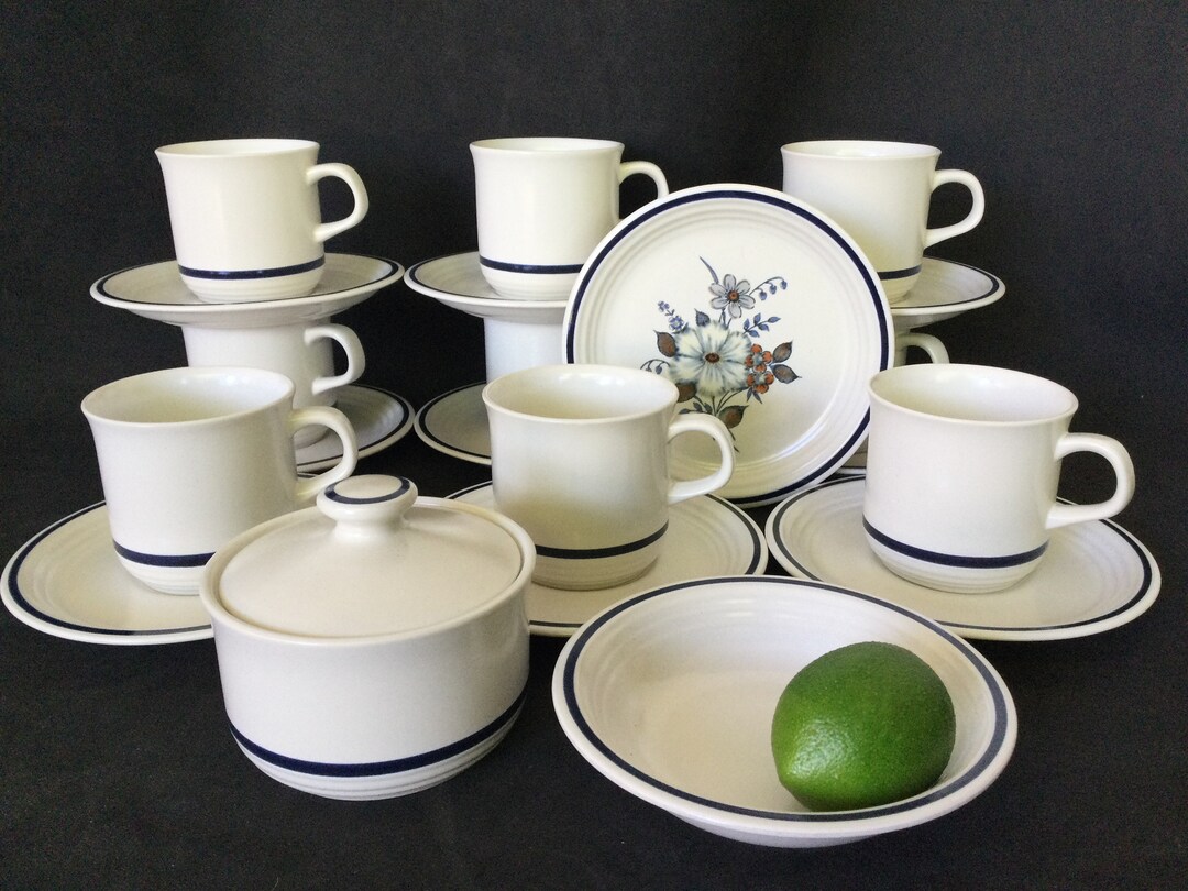 Blue Ridge Stoneware Dinnerware Set: Town and Country Collection, Japan ...
