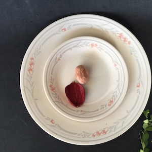 Corelle Rose Pattern dinnerware collection, 19 pieces, USA made by Corning