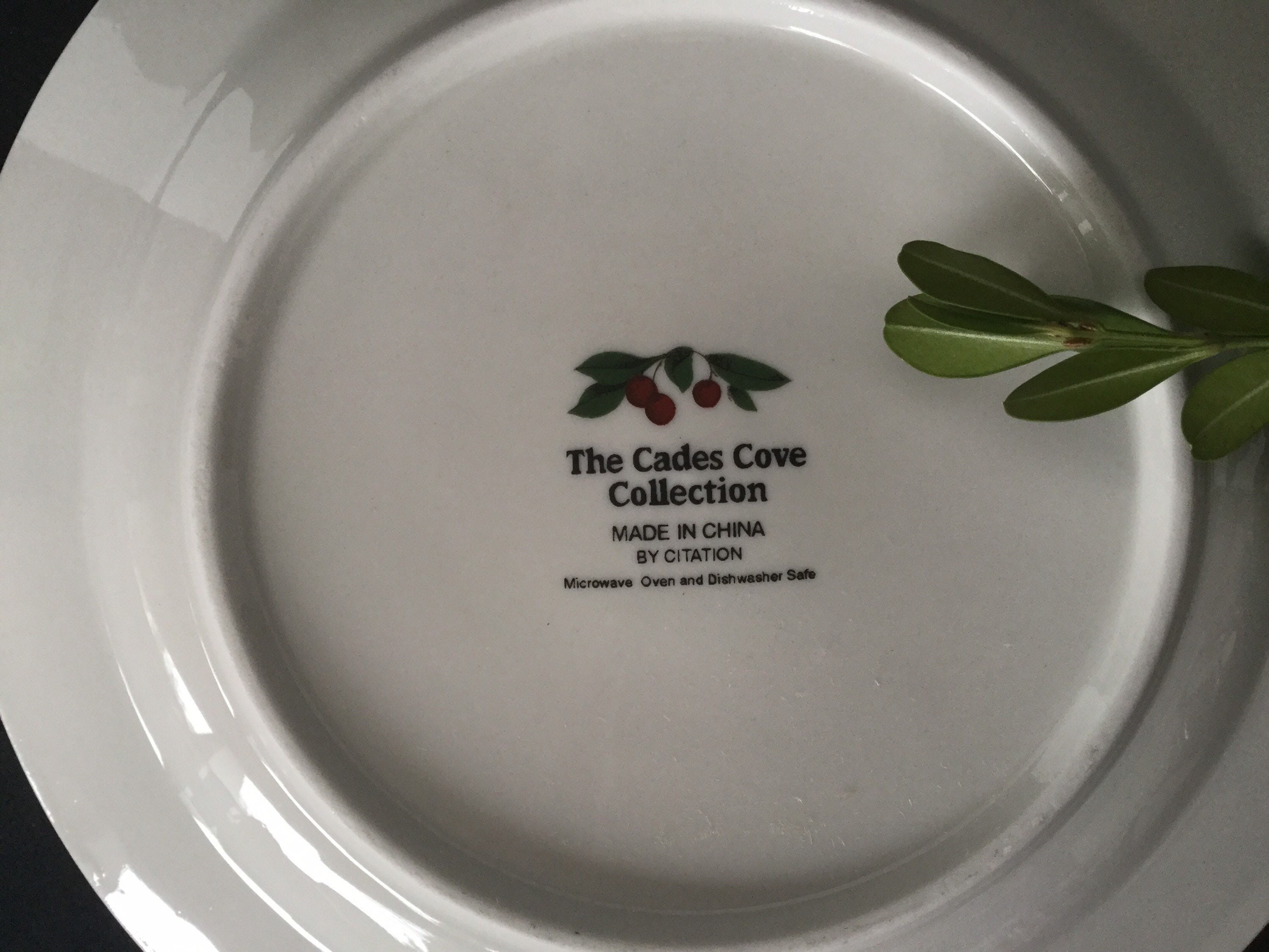 The Cades Cove Dinnerware Collection by Citation, 8 Salad Plates Etsy