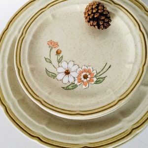 Crown Manor Springtime Daisy Handpainted Stoneware dinnerware, 5 dinner plate and 2 dessert plate Japan  made.