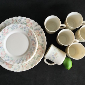 Arcopal Champetre  Dinnerware collection, made in France, sold in sets