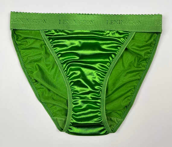 Hi-cut Second Skin Satin Panty Wide Rio Waistband Green - Etsy