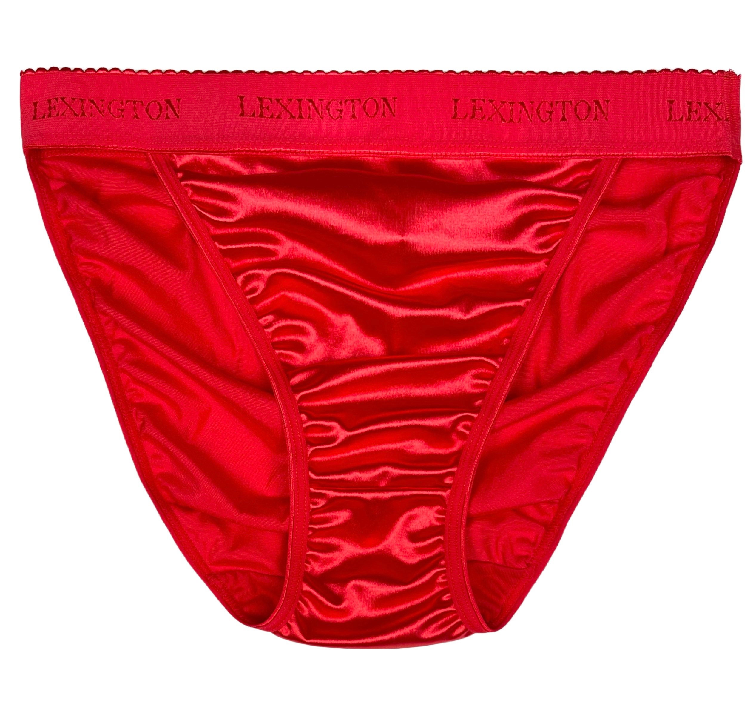 Vintage 1980s Deep Red Used High Leg Knickers See Through by Barbara Size  UK S FR 40,eur 38 