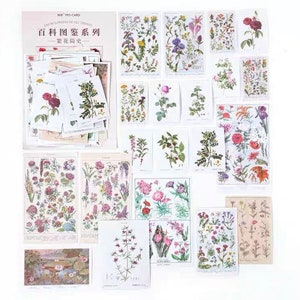 Pacote com 60 adesivos de natureza, adesivos de flores e plantas washi, planejador de jardim botânico, decoração, diário, scrapbooking, itens efêmeros