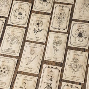 Pacote com 30 adesivos de flores, planejador floral, decoração, diário, scrapbooking, adesivo decorativo