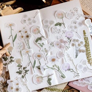 Pacote com 45 adesivos de estrelas e margaridas, natureza, flores, florais, washi, diário, scrapbook, artesanato, decoração