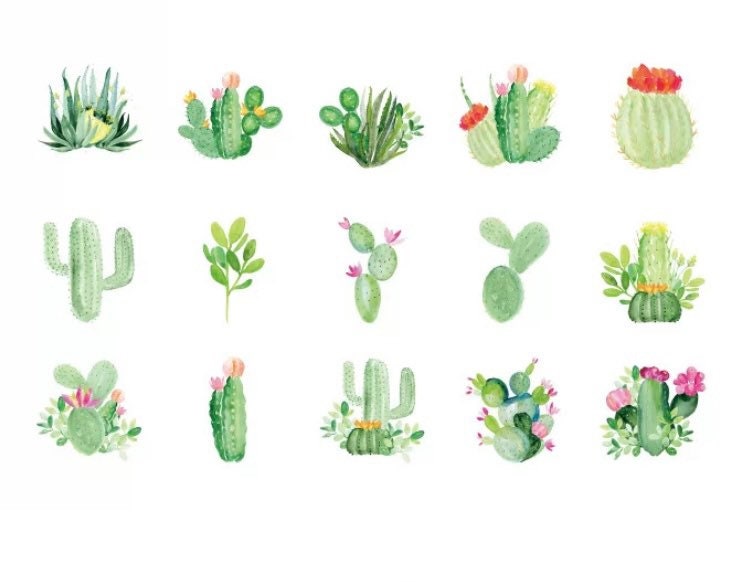 FREE SHIPPING 45pcs Cactus Sticker Plants Sticker Nature - Etsy