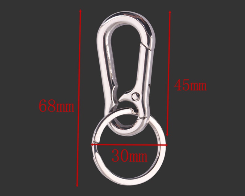 Gold Metal Carabiner Clip Key ring Key chain Key Charm Holder Organizer for Car/Key Finder Hook Purse Hardware Dog ID Tag Holder Handbag DIY image 2