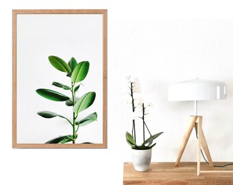 Botanical Wall Art, Green and White Printable Art, Botanical Prints, Ficus Elastica Print, Ficus Poster, Green Leaf Wall Art, Minimal Decor