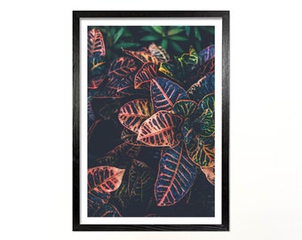 Botanical Leaf Art Print, Red and Blue Home Decor (Digital Download)