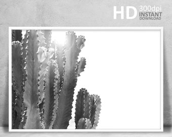 Cactus Printable Wall Art, Succulent Print, Desert Cactus Wall Decor, Southwestern Wall Art, Farmhouse Print Decor, Black and White Print
