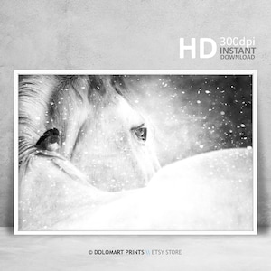 Horse Printable, Horse Photography, Black And White Wild Horse Photo, White Horse print, Wilderness Print, Animal Photography Wall Art Decor