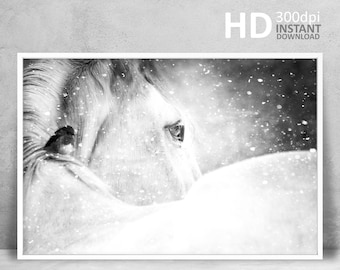 Horse Printable, Horse Photography, Black And White Wild Horse Photo, White Horse print, Wilderness Print, Animal Photography Wall Art Decor