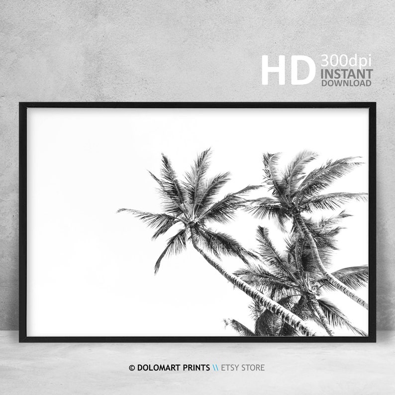 Palm Tree Print Tropical Wall Art Decor Black and White Palm Etsy