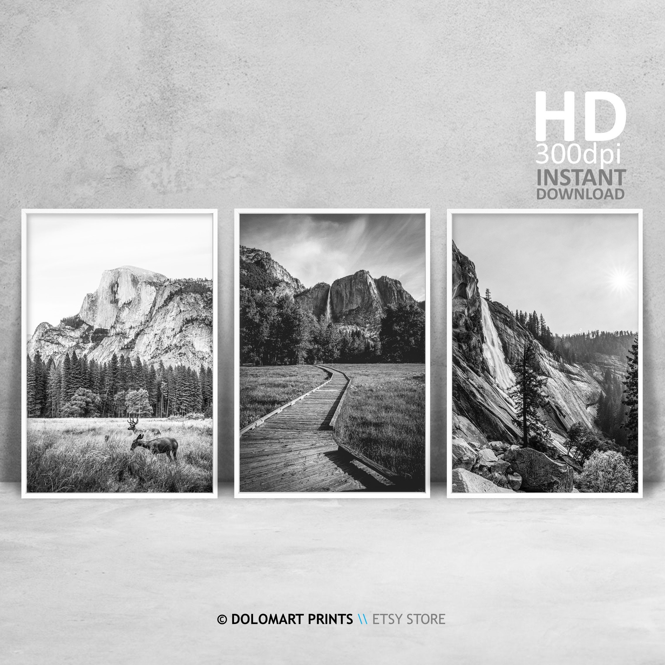 Ansel adams tree print - Etsy 日本