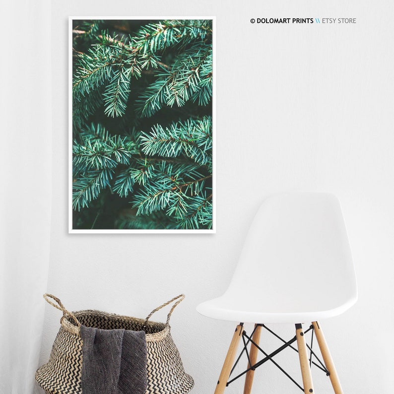 Pine Tree Branch Photography Print, Forest Green Wall Art (Digital Download) image 4