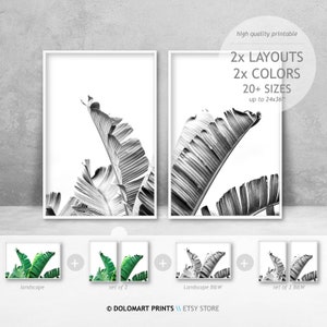 Láminas con motivos de hojas de plátano, decoración tropical para pared, blanco y negro (descarga digital)