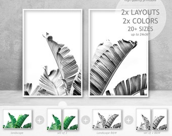 Banana Leaf Art, Set of 2 Prints, Tropical Leaf Wall Art, Set of Tropical Leaves, Living Room Wall Decor, Black and White Tropical Wall Art