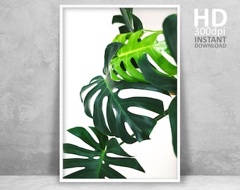 Monstera Leaf Print, Minimal Tropical Art (Digital Download)