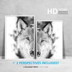 Wolf Portrait Photography Print, Black and White Animal Poster (Digital Download) image 9