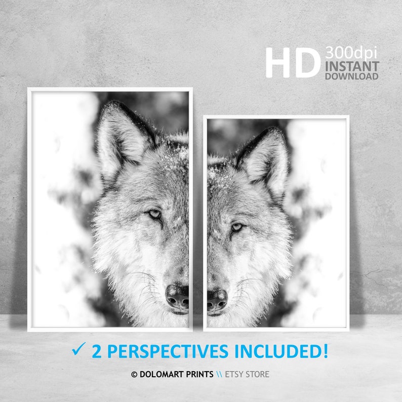 Wolf Portrait Photography Print, Black and White Animal Poster (Digital Download) image 9