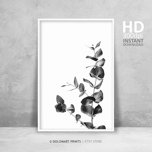 Stampa di una foglia di eucalipto, fotografia botanica in bianco e nero (download digitale)