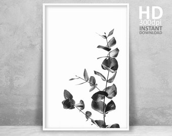 Eucalyptus Leaf Print, Black and White Botanical Photography (Digital Download)
