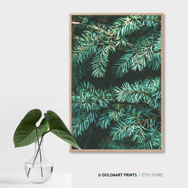 Pine Tree Branch Photography Print, Forest Green Wall Art (Digital Download) image 6