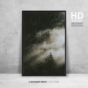 Misty Forest Print, Nordic Landscape Photography (Digital Download) image 2