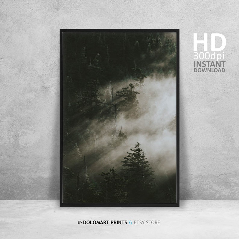 Misty Forest Print, Nordic Landscape Photography (Digital Download) image 2