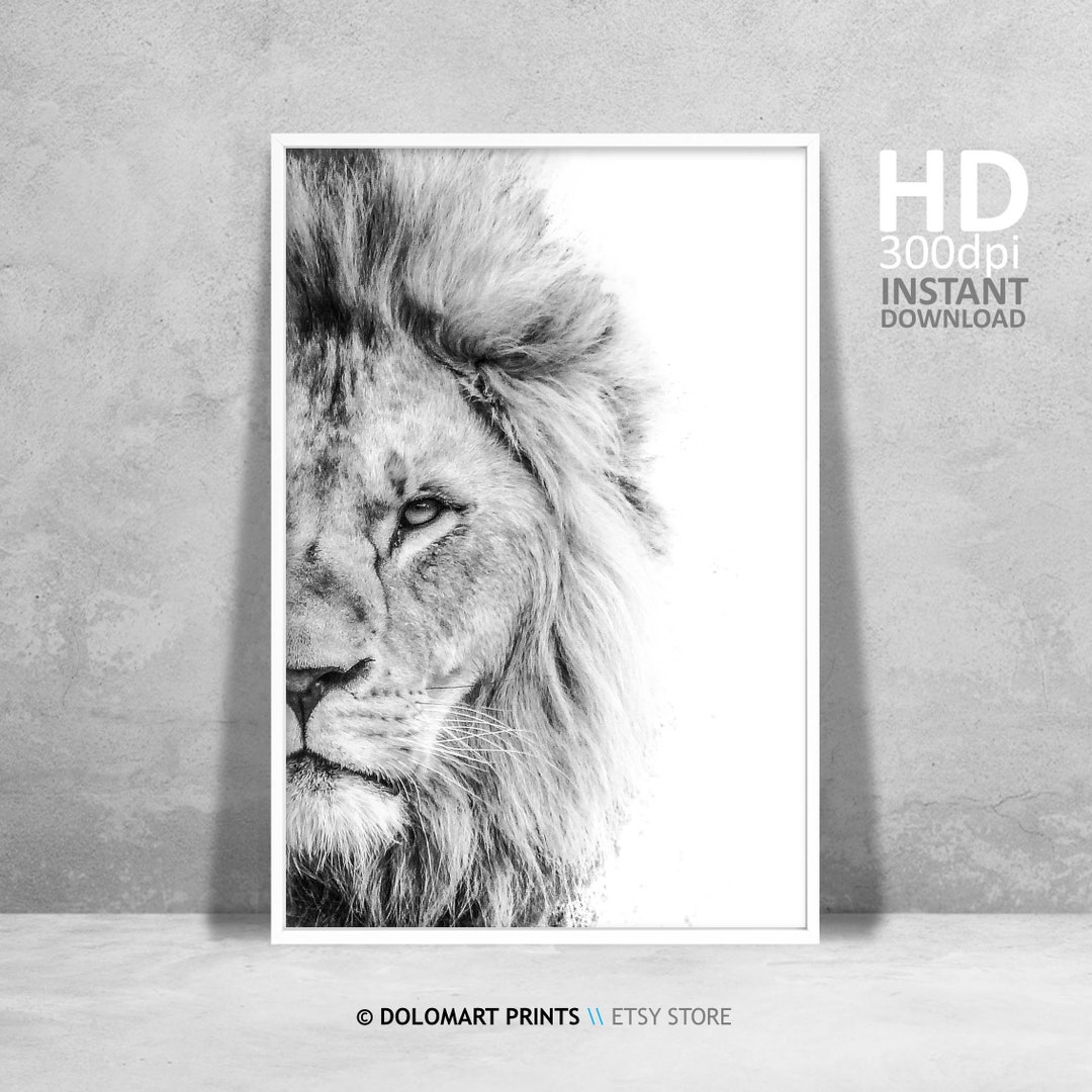 Lion Wall Art, Lion Print, Wilderness Photography, Animal Poster